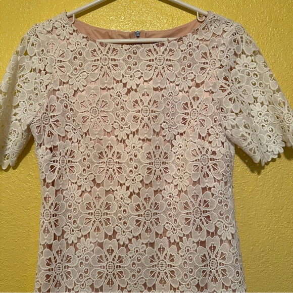Antonio Melani Women’s Lace Dress Size 4 - Picture 2 of 11